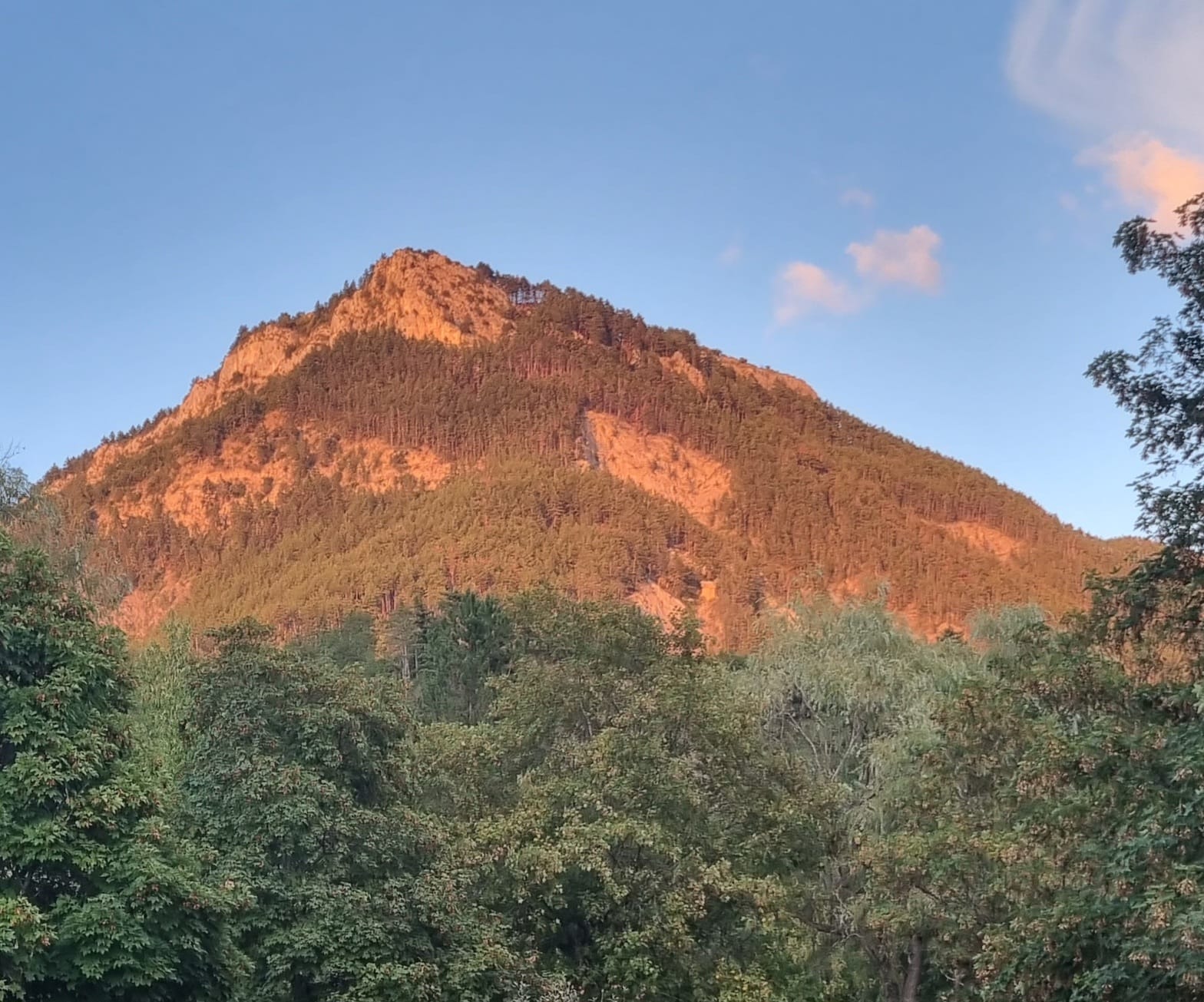 Nuits Étoilées et Aventures Forestières