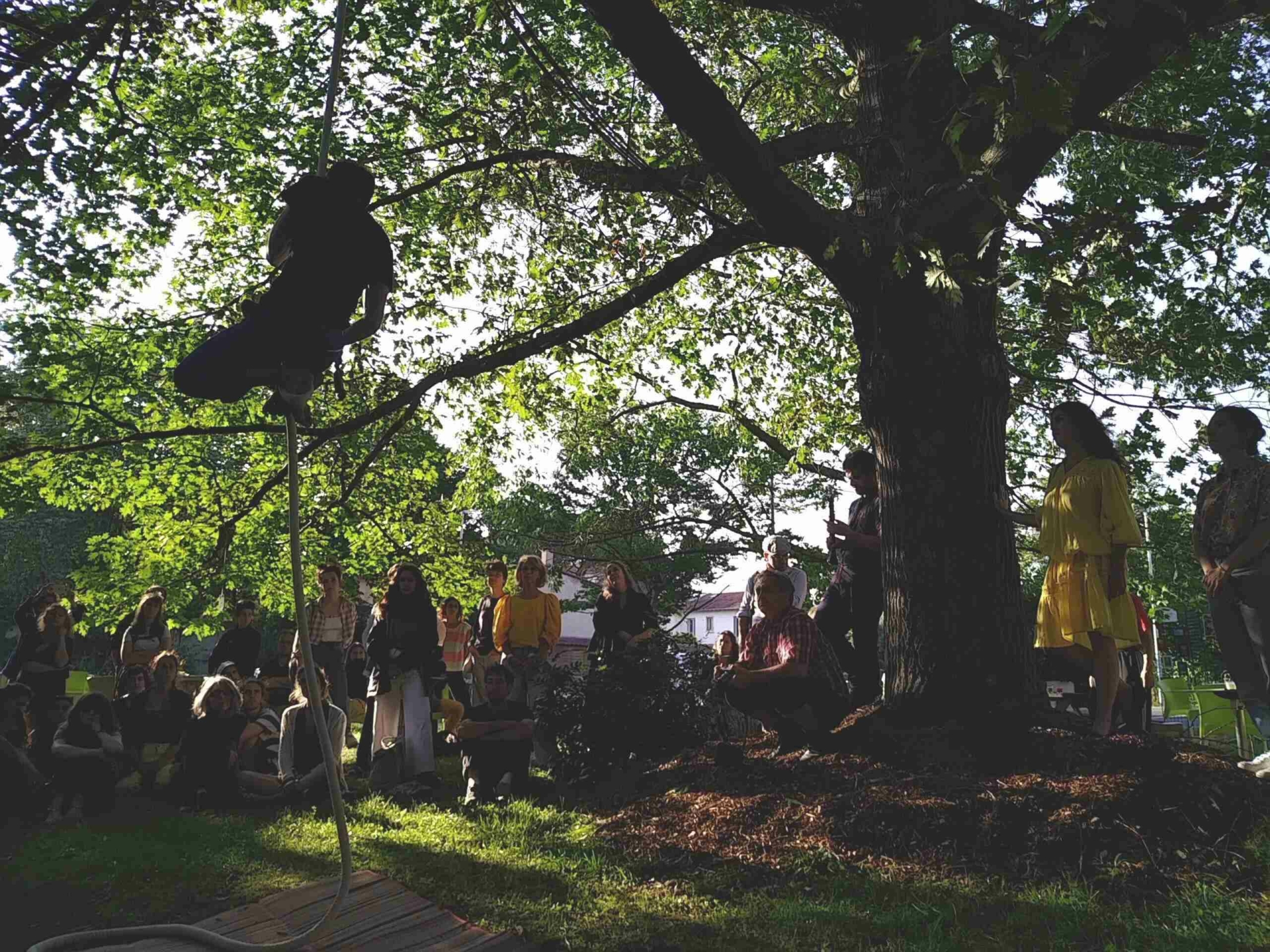 Bois sacré. Récits, danses et recherches à l’écoute des arbres