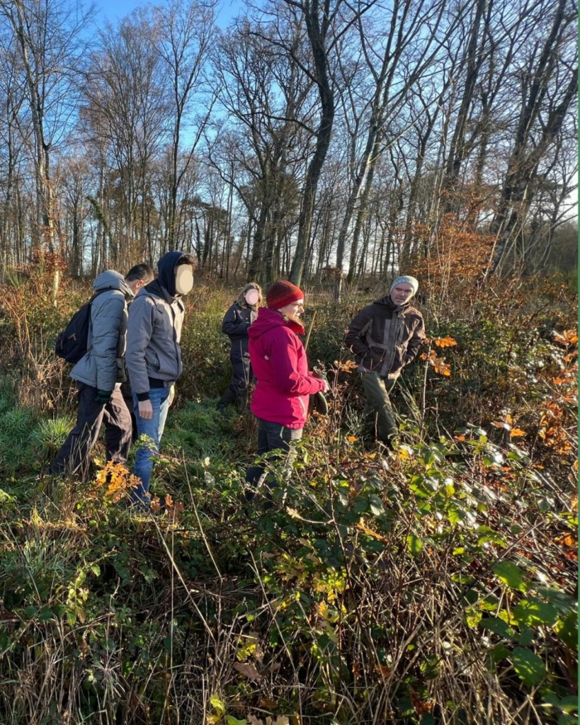Plantation d’arbre dans le domaine de Courances
