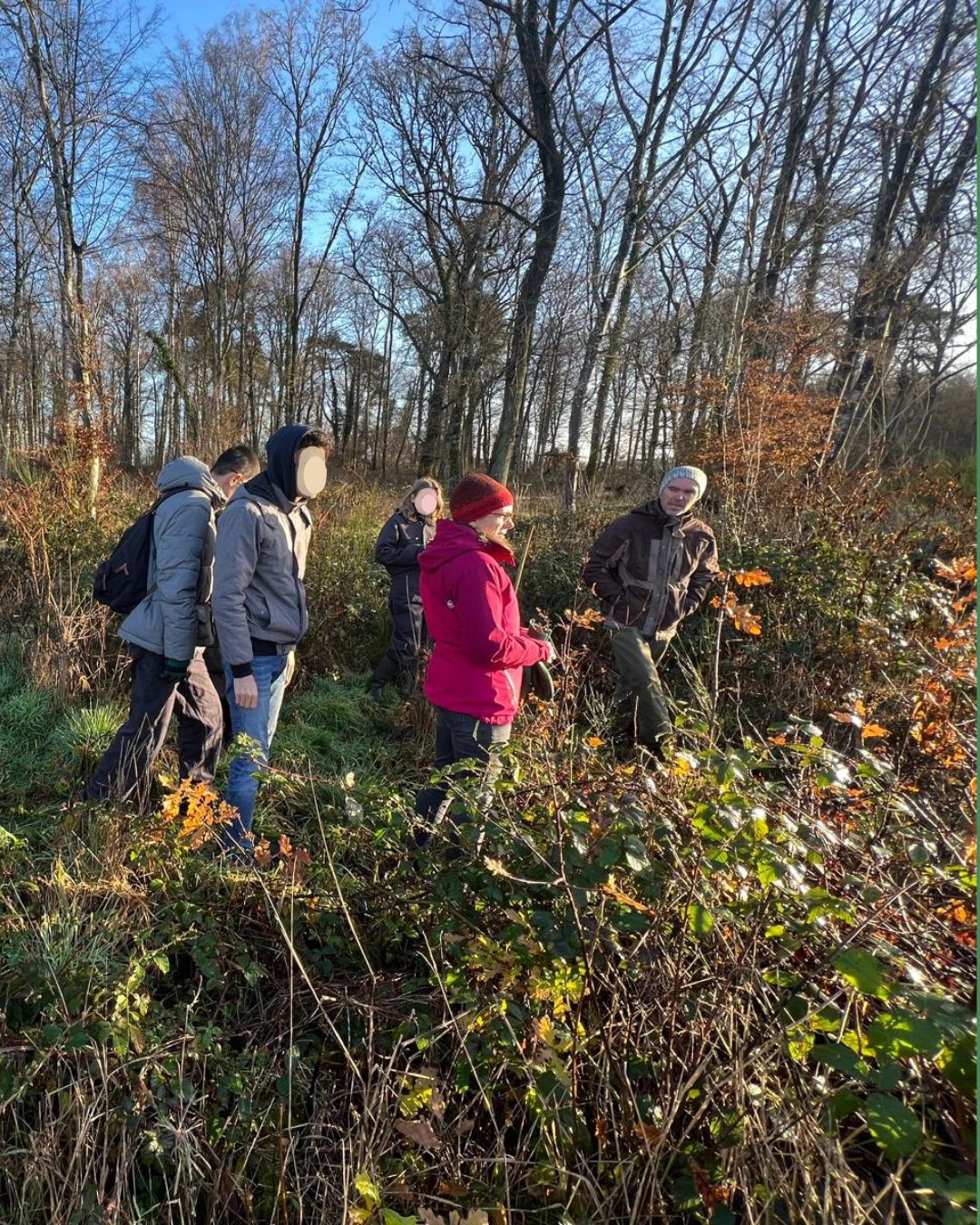 Plantation d’arbre dans le domaine de Courances