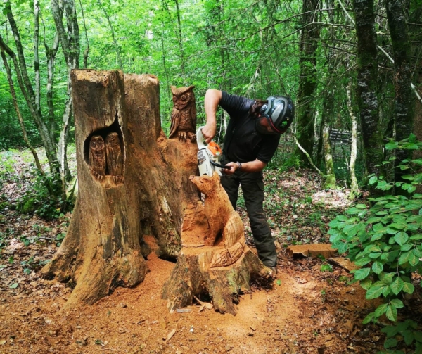 À la découverte du Bois Henrys