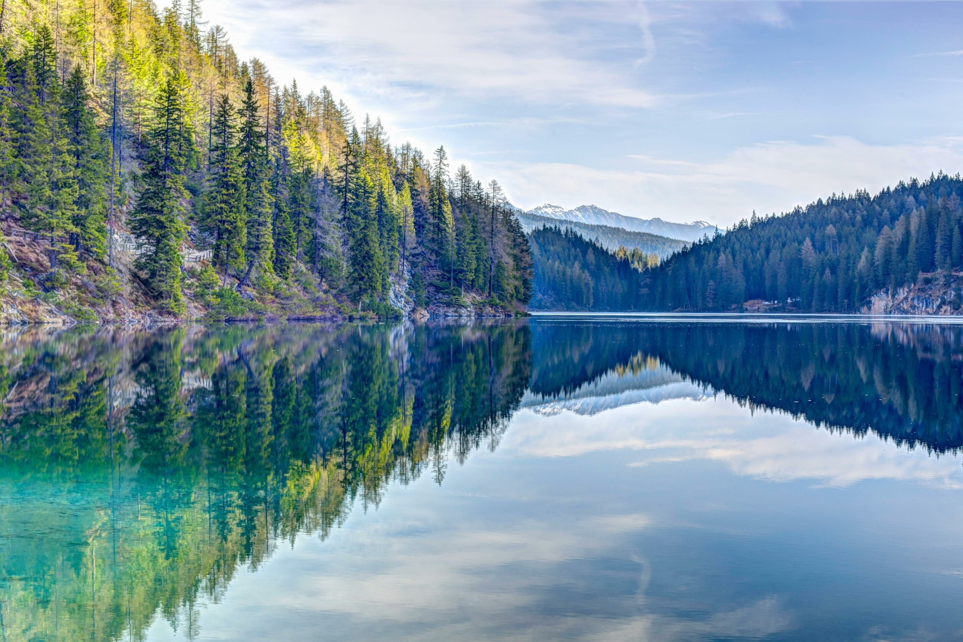 La Forêt et l’Eau, aux fondements de la vie sur Terre