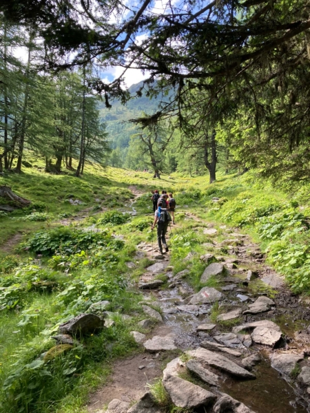 Promenade commentée sur le sentier des Fontaines, AFF