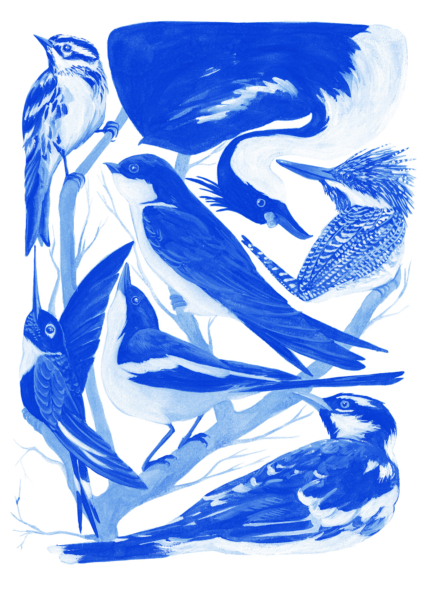 Dessin d’après nature , atelier avec Neptune