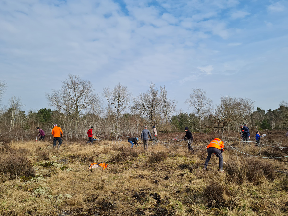 Chantier participatif de lutte contre les espèces exotiques envahissantes, ONF