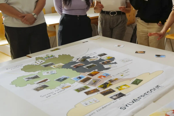 Atelier Sylva fresque : La Fresque de la gestion forestière en France, ONF 