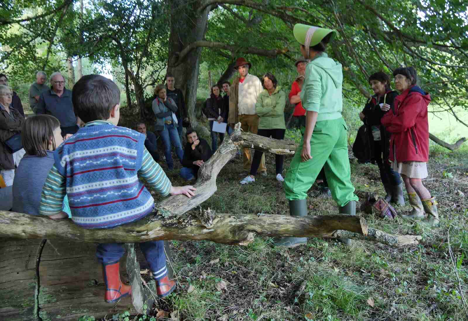 Equilibres é-mouvants en forêt