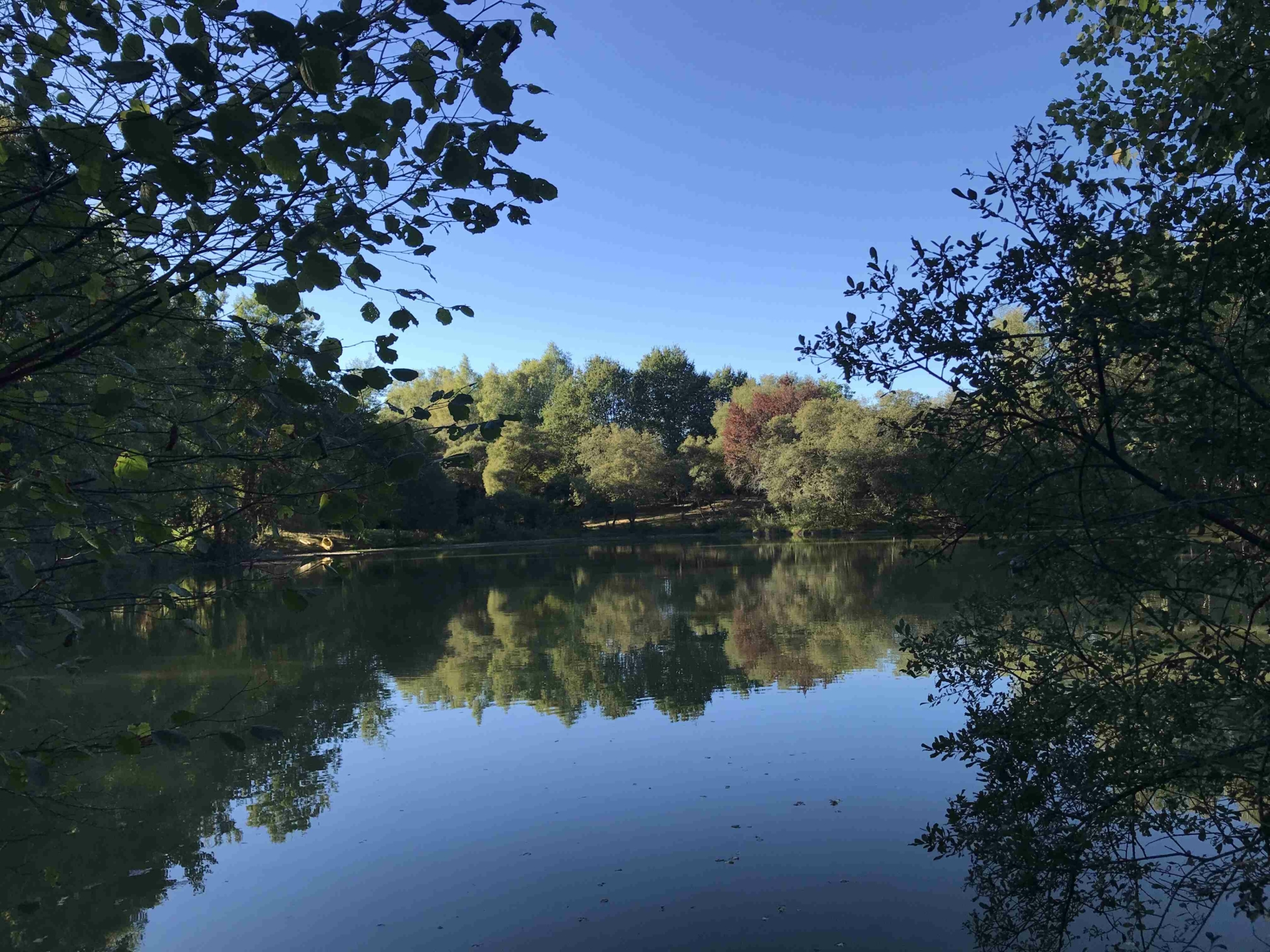 Cérémonie de clôture au Domaine du Bonheur