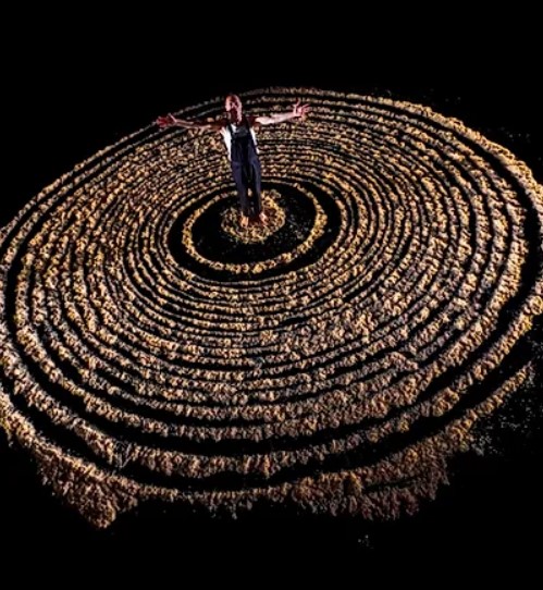 Taxi-Brousse – « L’utopie des arbres »
