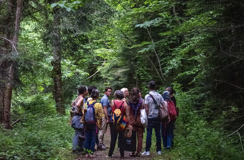 Prenez part au festival Nuits des Forêts 2025 !