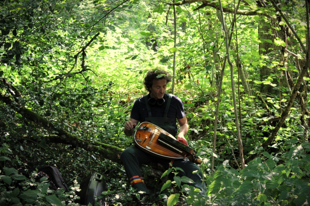 Prenez part au festival Nuits des Forêts 2026 !