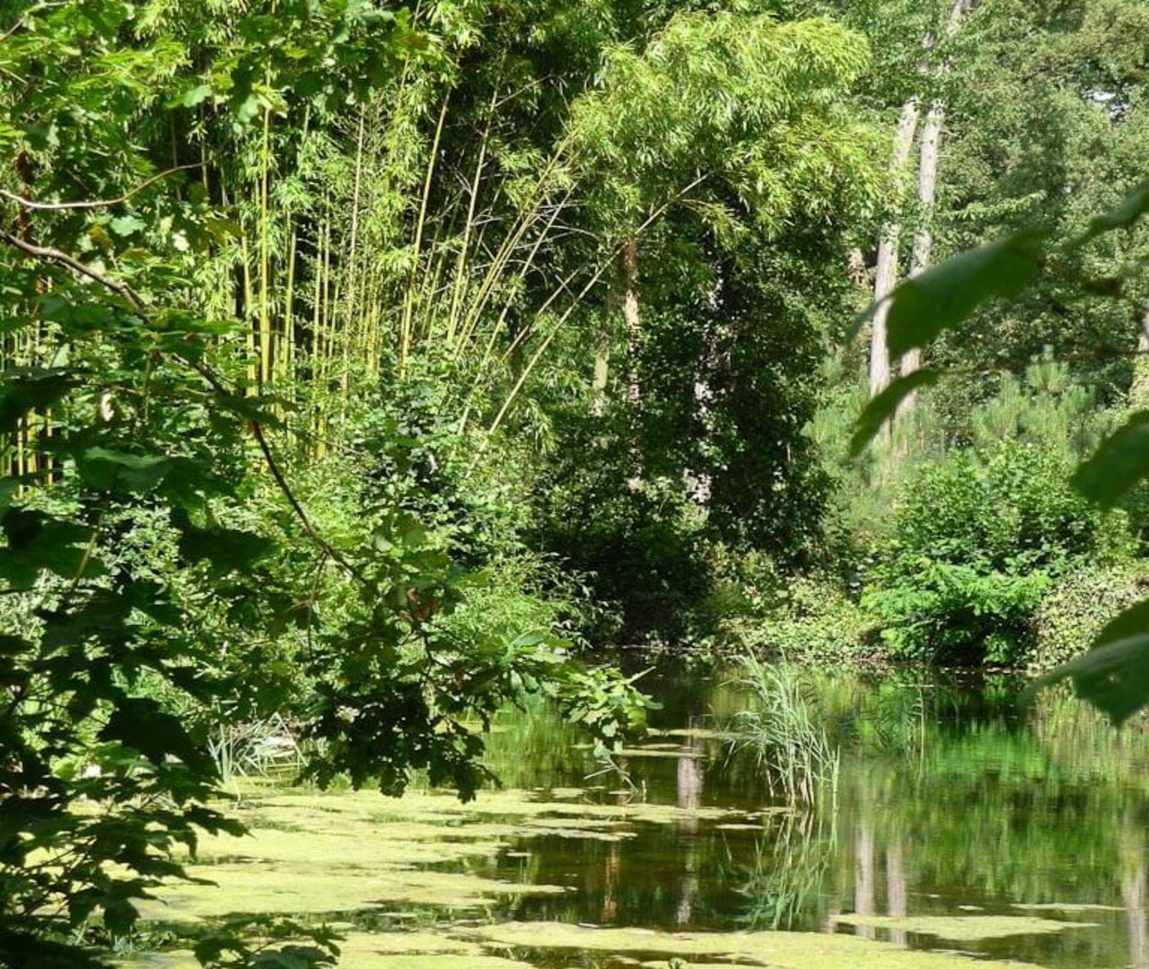 A la rencontre de l’Amazonie au Jardin d’Agronomie Tropicale de Paris