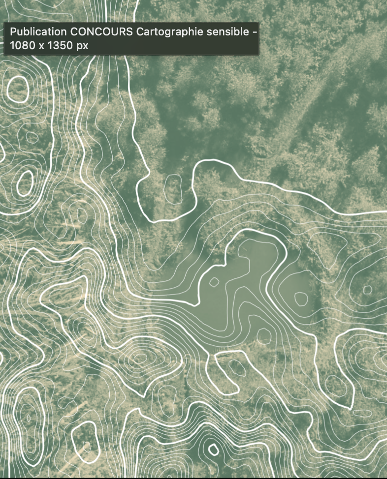 Lancement du concours de cartographie sensible – Cartographier la forêt