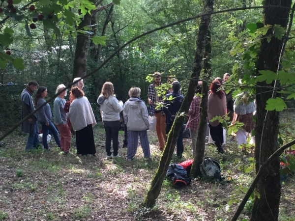 Communication avec les Arbres, Discussion autour des Forêts couserannaises et Concert en pleine Nature