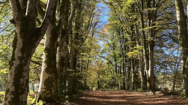 Après-midi de balades guidées au Lieu-dit Chez Thivaud