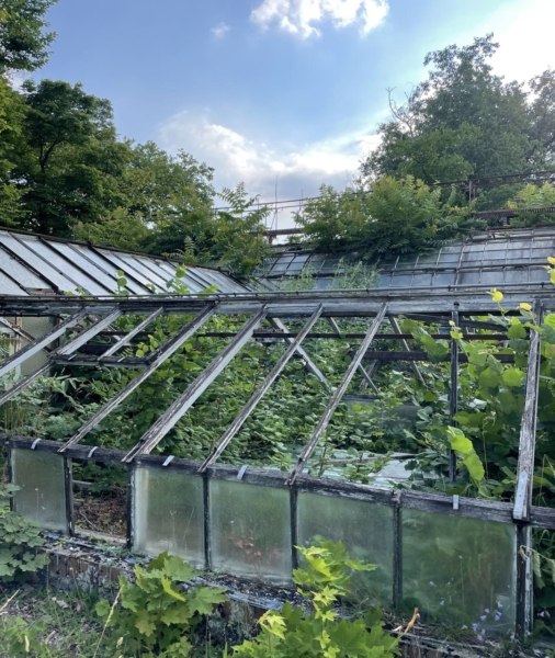 A la rencontre de l’Amazonie au Jardin d’Agronomie tropicale