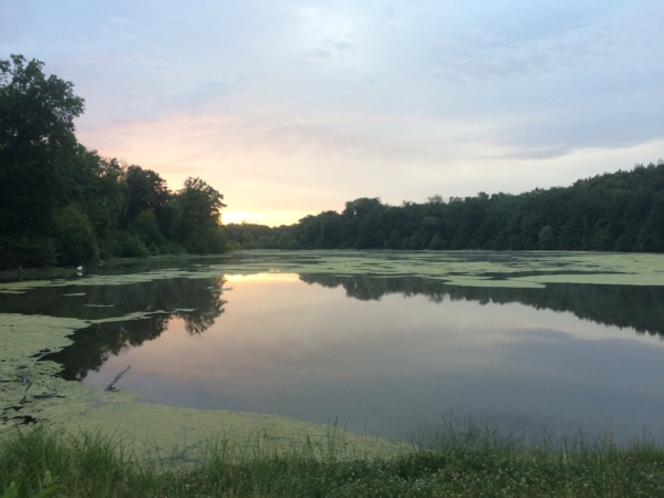 À la découverte de la forêt de Chantilly