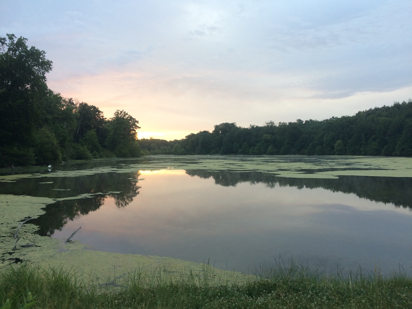 À la découverte de la forêt de Chantilly