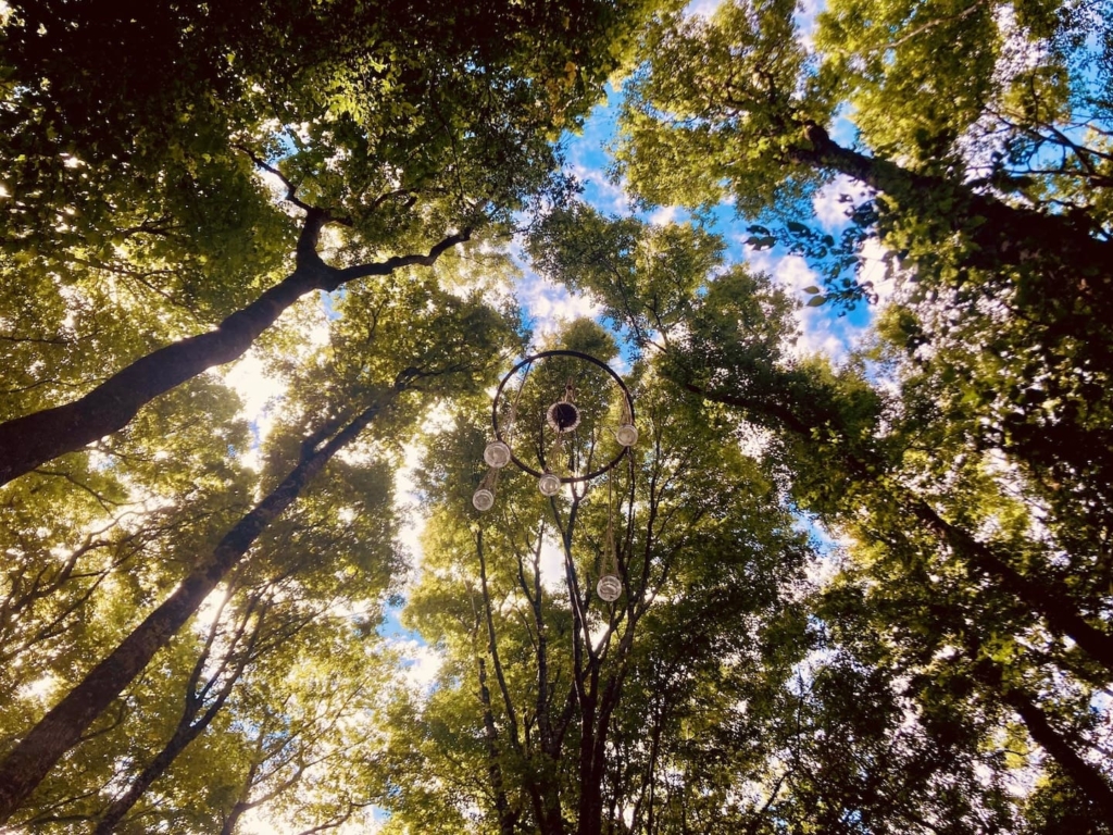 Les Nuits des Forêts en Centre-Val de Loire