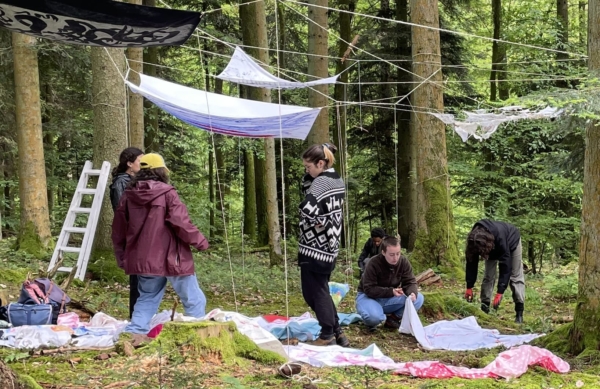 Exposition « Voir la Forêt »