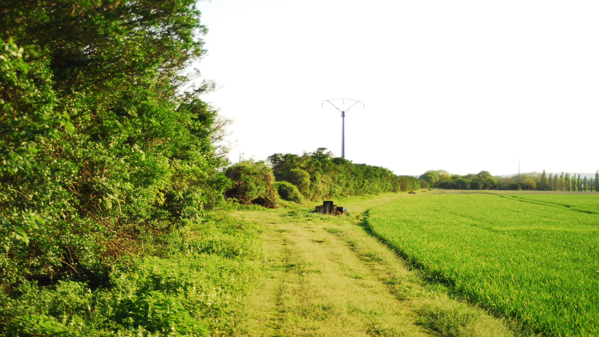 Itinérance pédestre en Forêt de Maubuisson