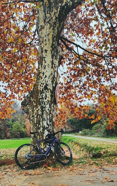 Sur la piste des animaux, à pied ou à vélo