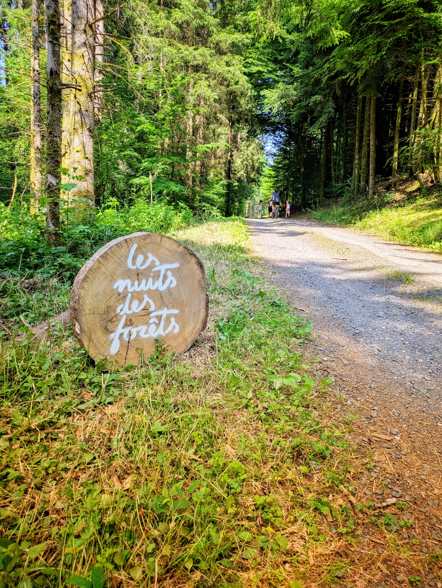Immersion artistique et sensorielle à la Forêt de Haye