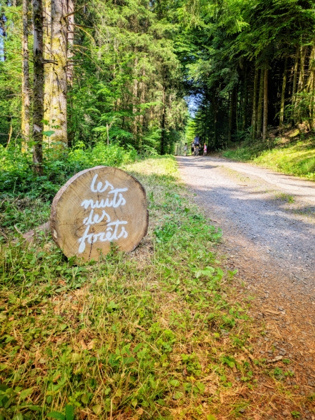 Immersion artistique et sensorielle à la Forêt de Haye