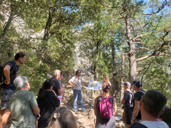 Imaginons le futur de nos espaces forestiers