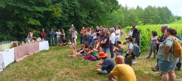 La forêt dans tous ses états !
