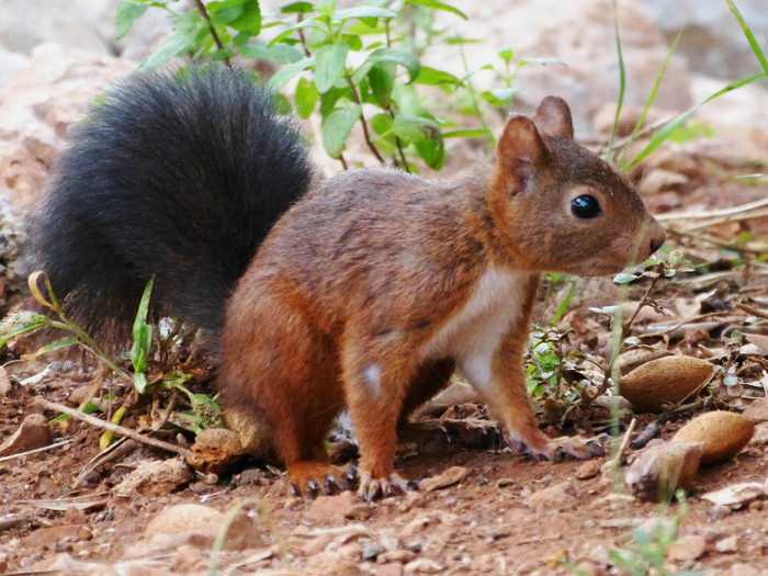 A la découverte de la faune sauvage