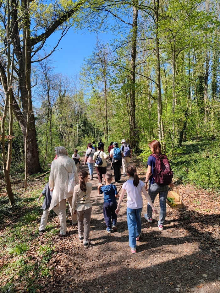 Balade à la rencontre de la biodiversité et des plantes sauvages