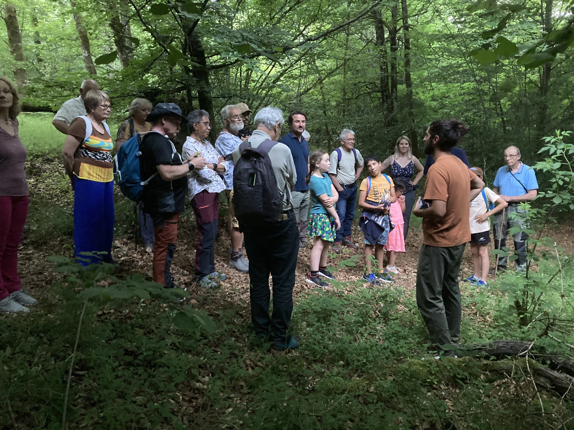 Les sons inaudibles de la forêt