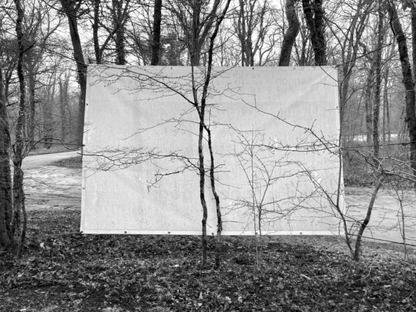 Découvrez la forêt de Chailluz le temps d&rsquo;une journée !