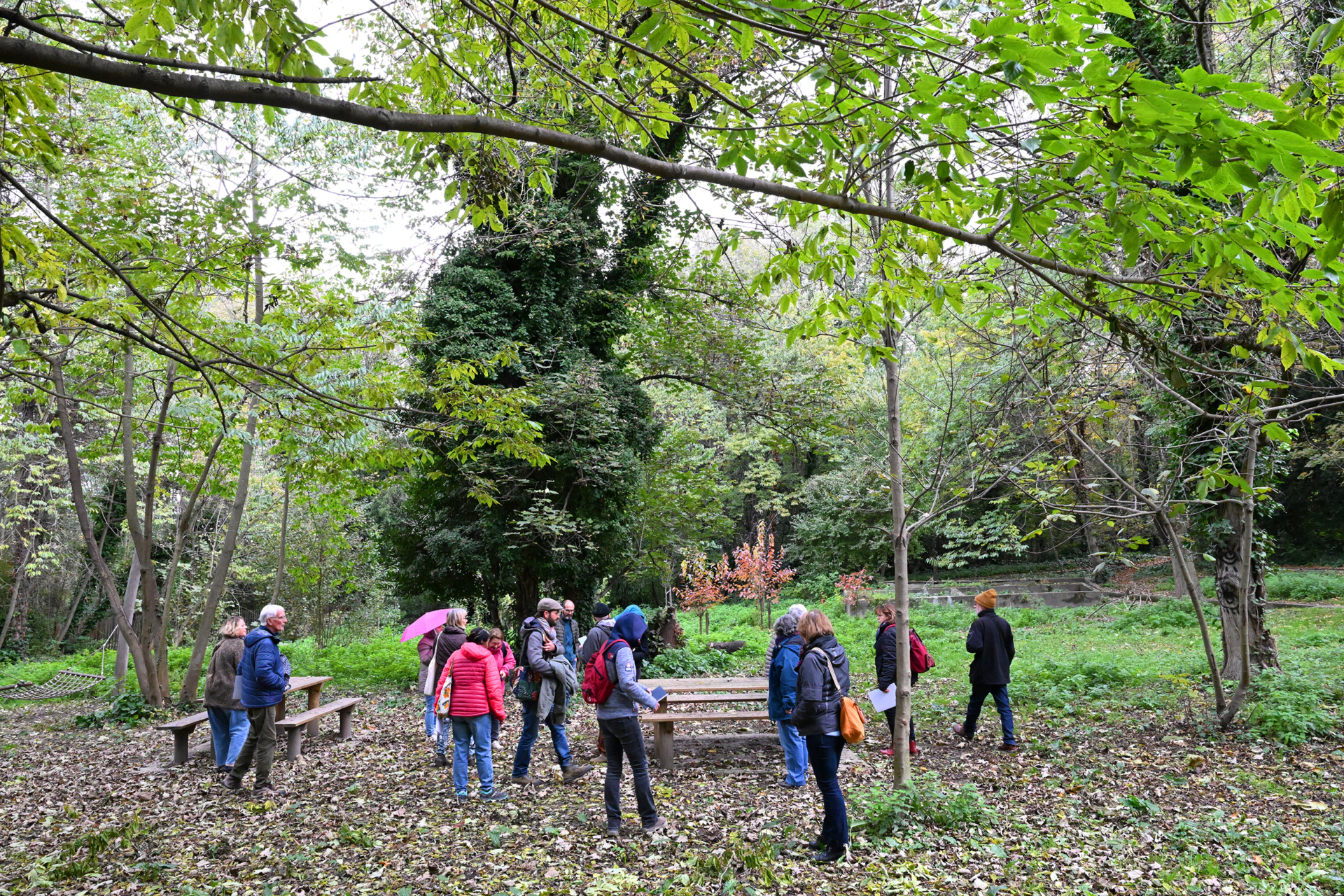 Immersion sensible en forêt