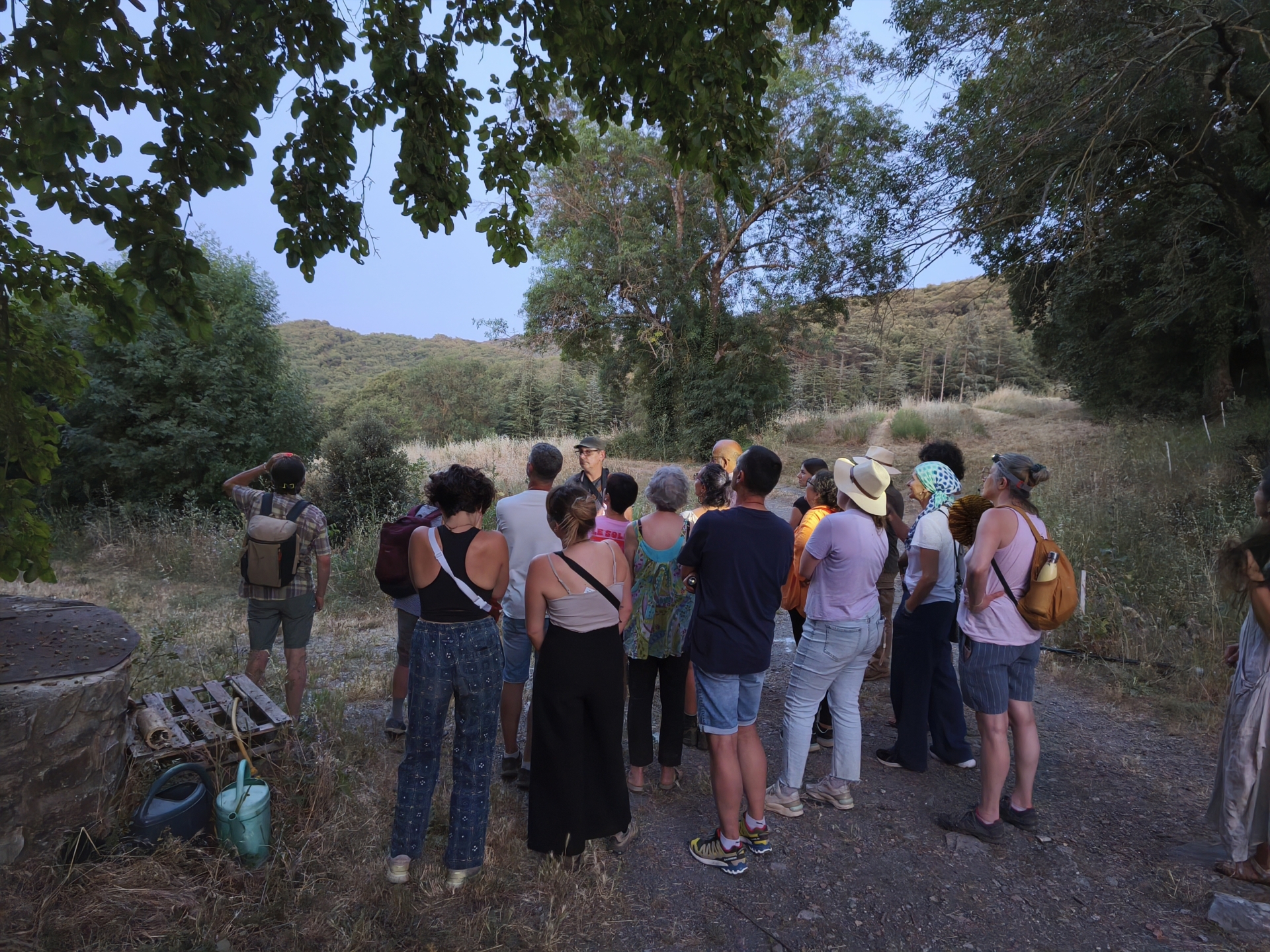 La mélodie du crépuscule