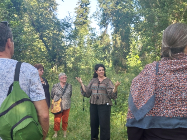 Murmures de la forêt