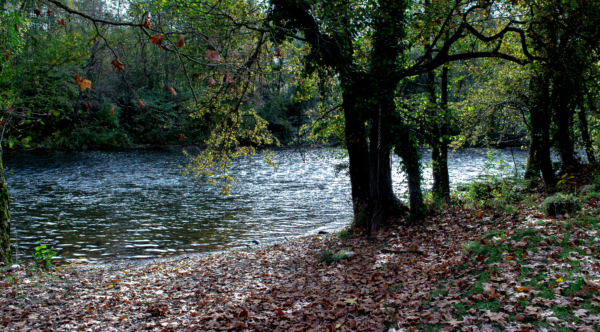 MERCREDI 10 JUIN : une journée en plein air à Brassacou