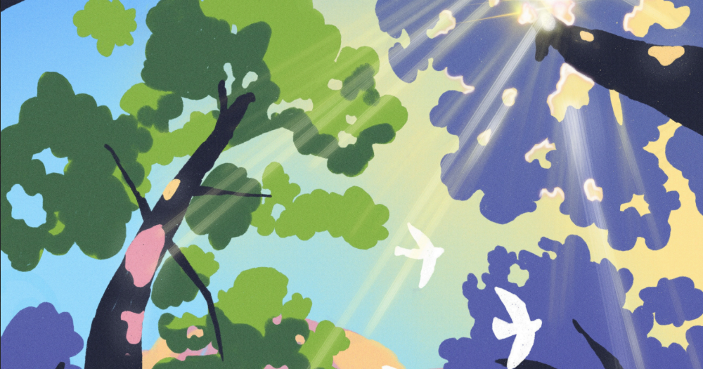 Balade dans la forêt des Noues