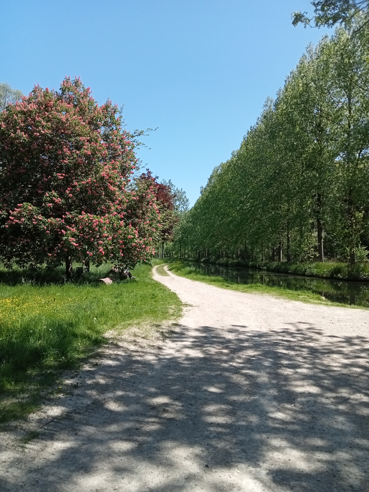 Découvrez des projections autour de la forêt !
