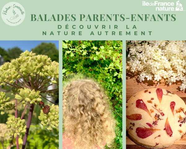 Balade Parents-Enfants : « Découvrir la Nature Autrement »