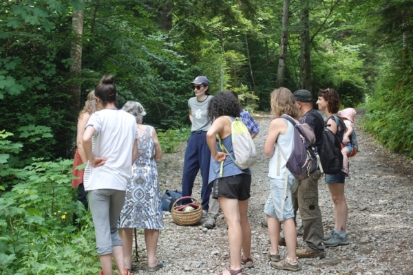Immersion sensible entre plantes, sons et savoir-faire forestier