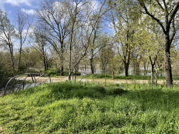 Samedi 6 juin en forêt du Plan