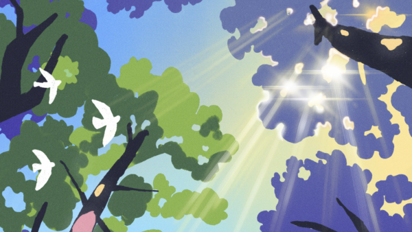 Goutte que goutte : l&rsquo;eau en murmure