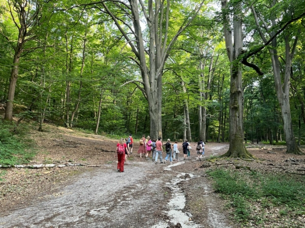 Immersion festive et nature en forêt domaniale de Versailles – 19 juin