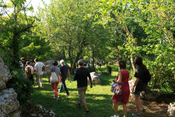 Forêt de Gravières en musique : immersion sensorielle et voyage au cœur du vivant