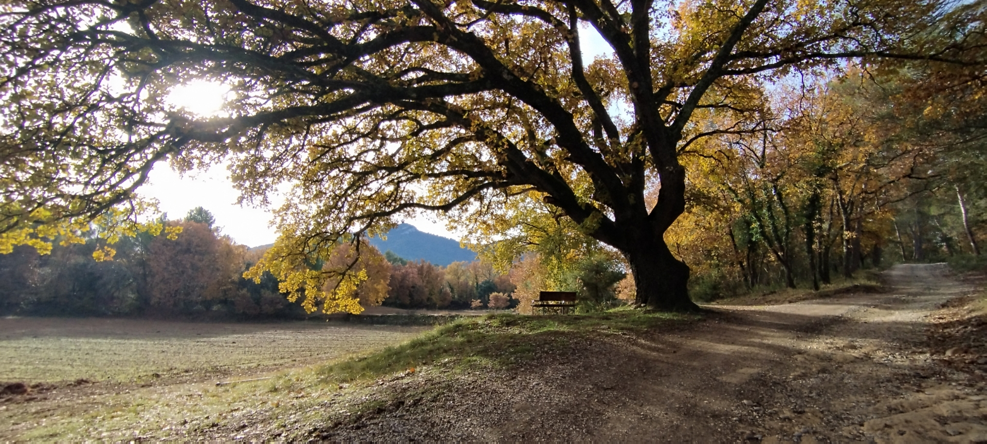 Soirée immersive en forêt de Concors