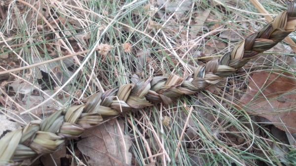 Des formes d&rsquo;attention au creux des bois