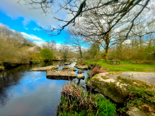 Après-midi bien-être en forêt