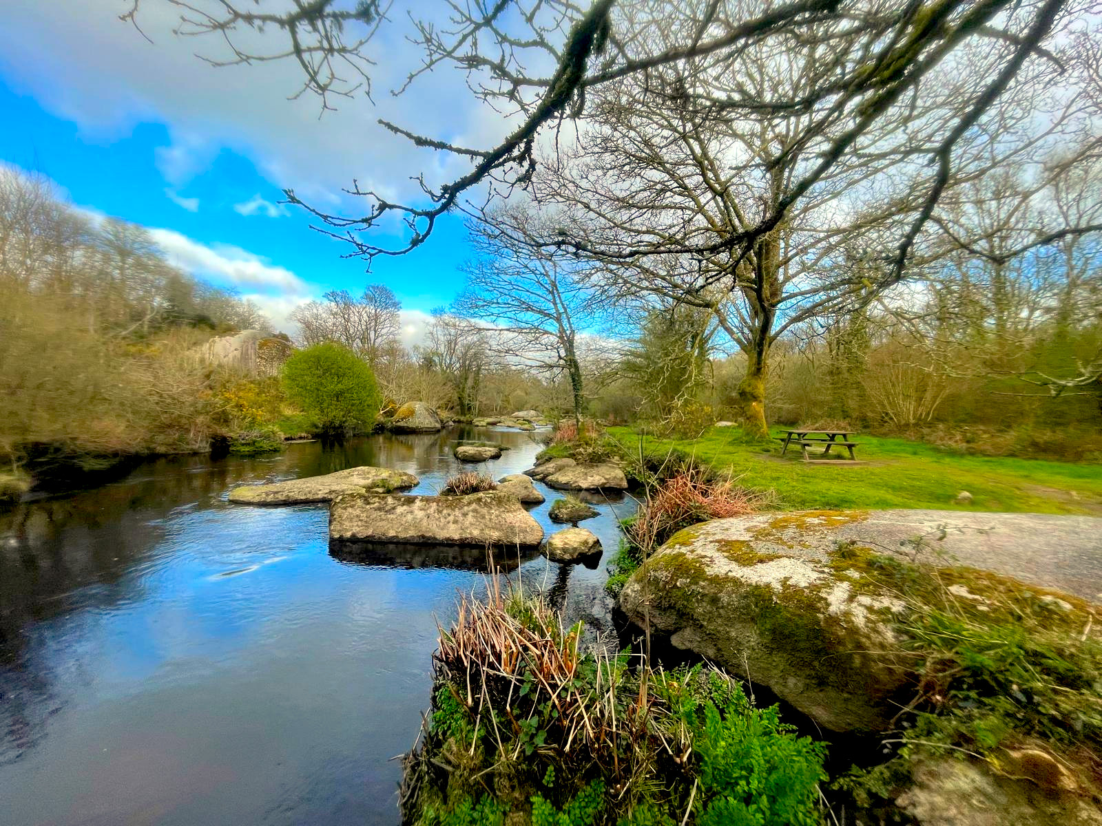 Après-midi bien-être en forêt